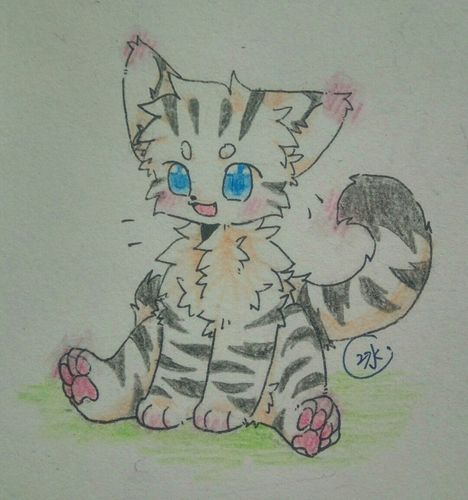 猫武士设 - 云川