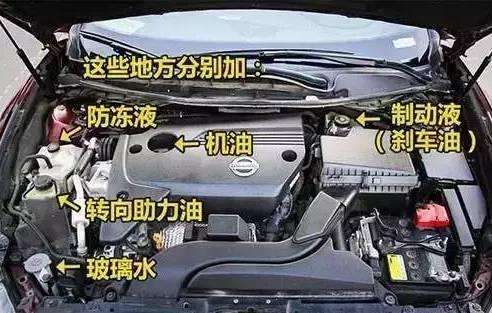 记住这张时间表,汽车毛病少8