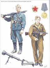 南斯拉夫人民解放军