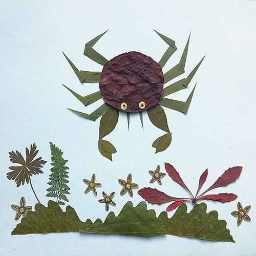 秋天树叶贴画大全 幼儿园小学生树画材料包真树叶真标本叶子画