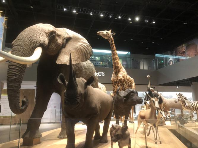 安吉|浙江自然博物馆_博物馆_自然博物馆_餐厅_浙江自然博物院安吉馆