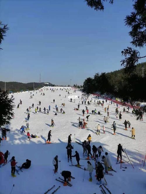 奉化溪口雪窦山商量岗滑雪场_滑雪_旅游_出行_出行攻略