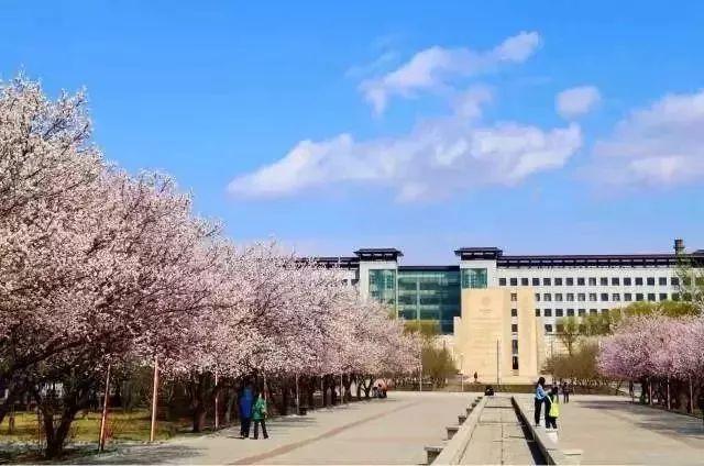 五月花广场