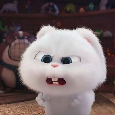 a-爱宠大机密兔纸