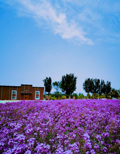 北京紫谷伊甸园