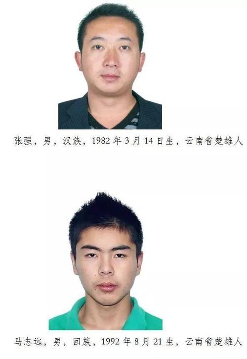 楚雄市扫黑办征集速进林,速进勇,钱龙等人违法犯罪线索