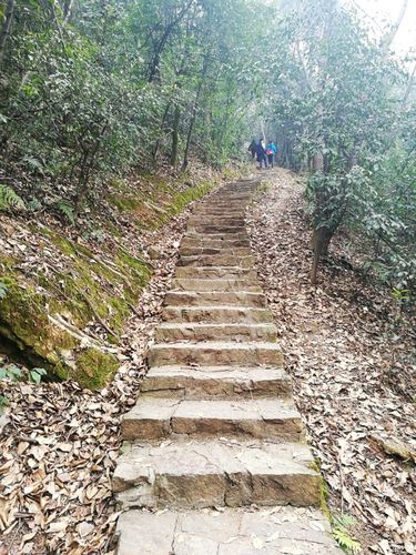 图文长沙岳麓山