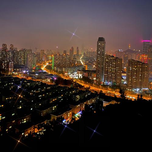 大连最美山顶,俯瞰大连夜景_夜景_风景_富国公园_拍照