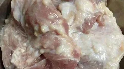 如何分辨淋巴肉?