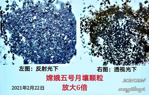 月壤样品公开亮相入藏国博