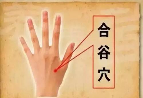 常艾灸这6个穴位,可有效祛除湿气!收了吧!