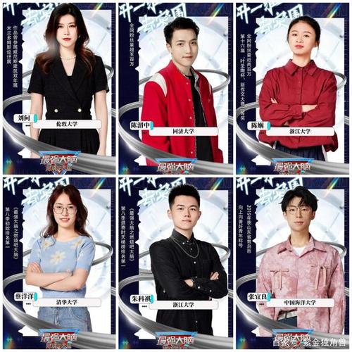 一起围观一下最强大脑9选手