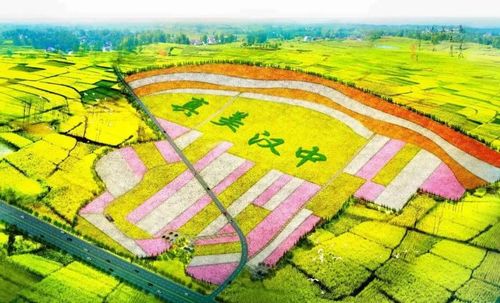 油菜花田的"八卦迷宫"和"鹊桥相会",洋县创意太让人惊喜了!