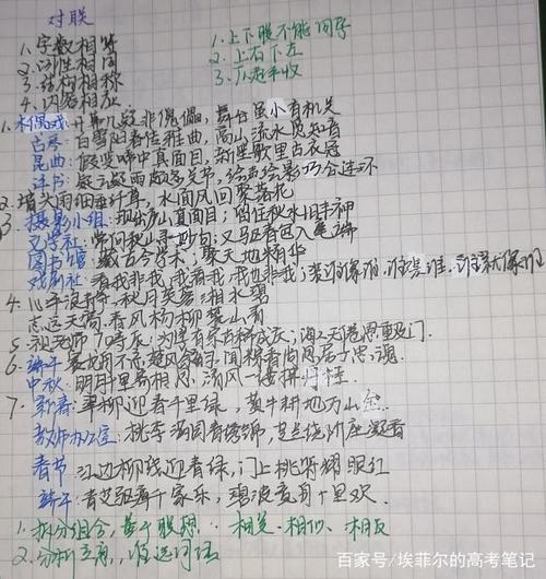高考语文专项手写笔记