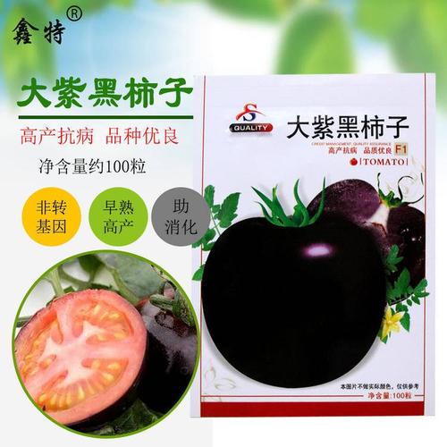 紫玉番茄种子 鑫特大紫黑柿子番茄种子西红柿蔬菜种子庭院阳台种菜易
