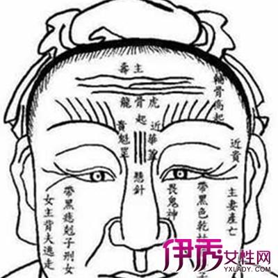 额头宽的面相图解