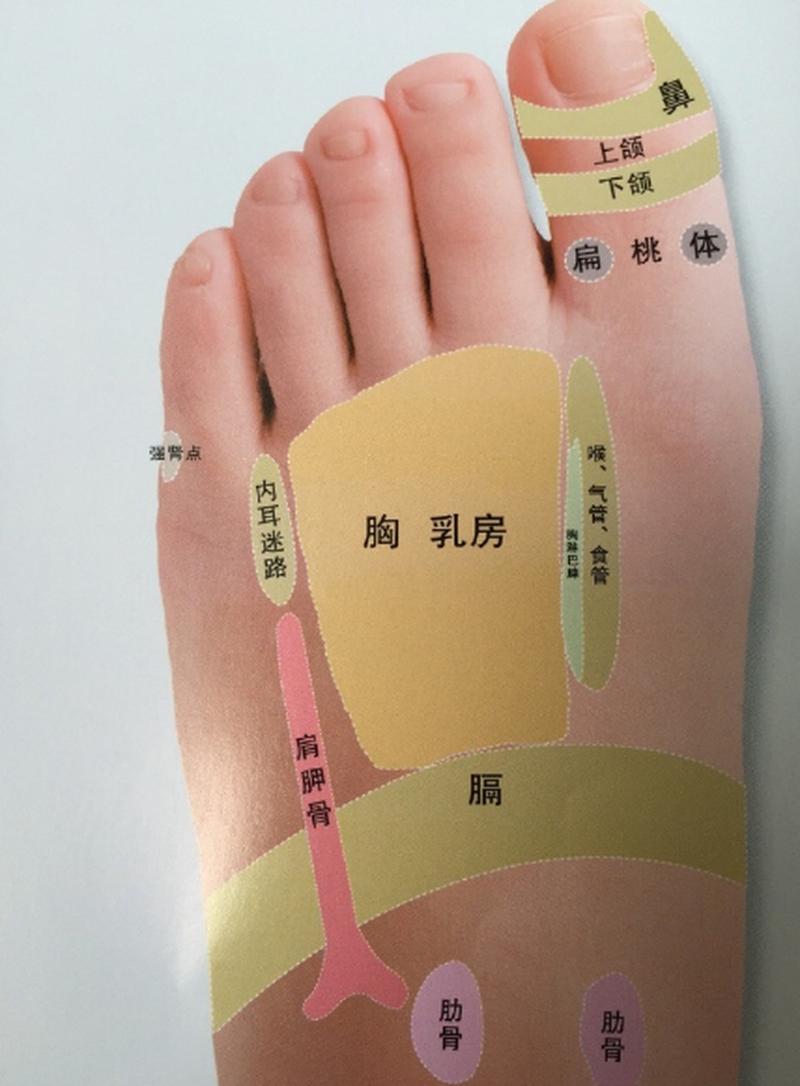 脚背乳腺这个反射区,在下是发了再发,你重视了吗?