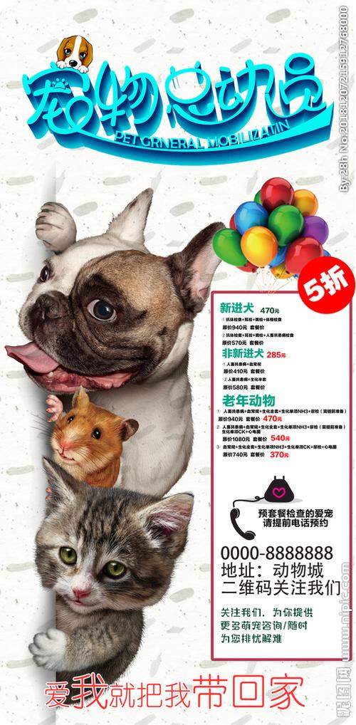 宠物店宣传单 宠物店活动 宠物图片