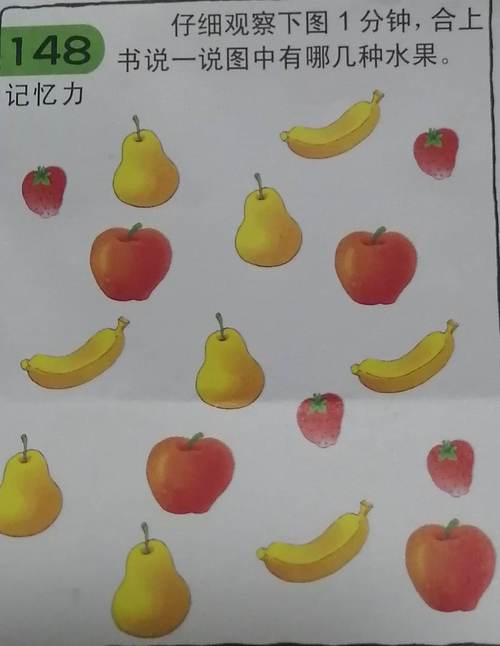 记忆力项目设计意图:通过观察把瞬时记忆转化为短时记忆,增强记忆效果