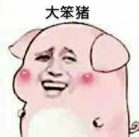 大笨猪