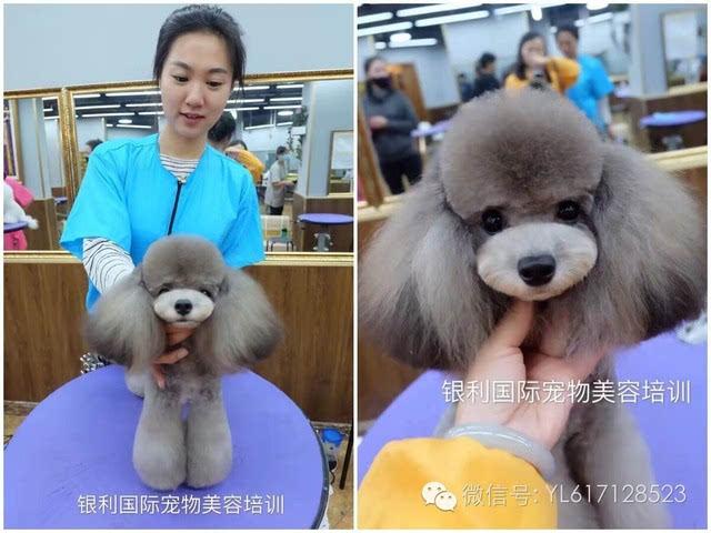 b级班:针对有基础学员开放; 学习内容: 1,贵宾专业拉姆装的强化训练