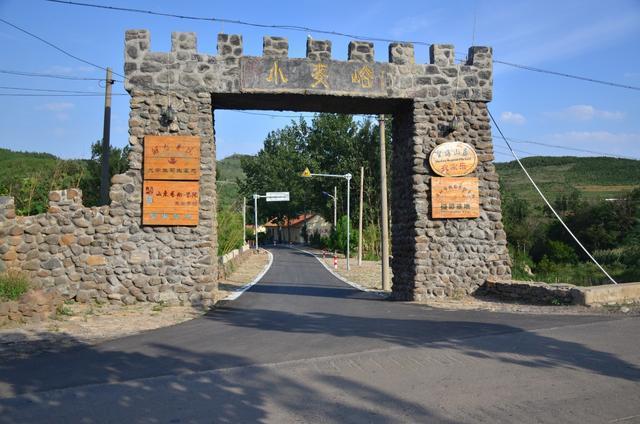 安丘市辉渠镇依托"山,泉,文,林"等旅游资源,发展全域旅游