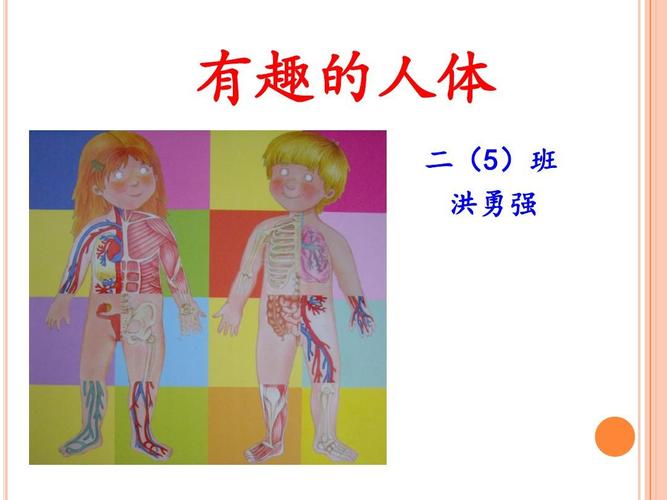 有趣的人体ppt
