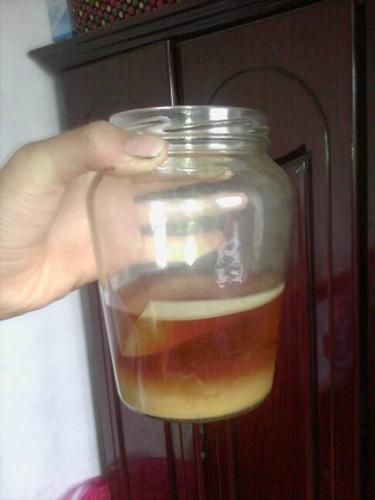 红茶菌饮液培养方法,,求详细步骤