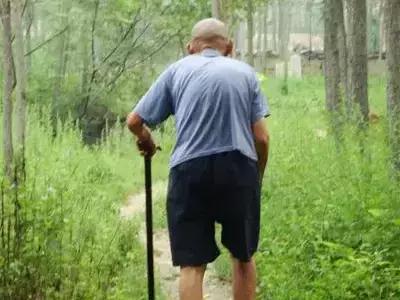 老年人容易出现骨质疏松,导致脊椎骨折,这是他们驼背的主要原因.