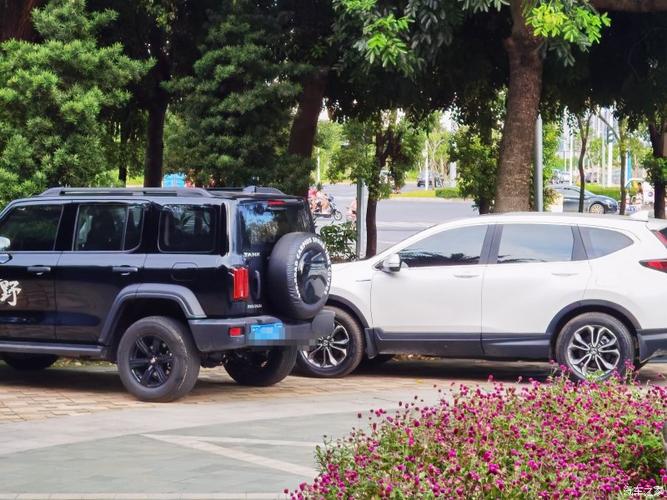 坦克300 2021款 越野版 2.0t 挑战者怎么样_优缺点_不