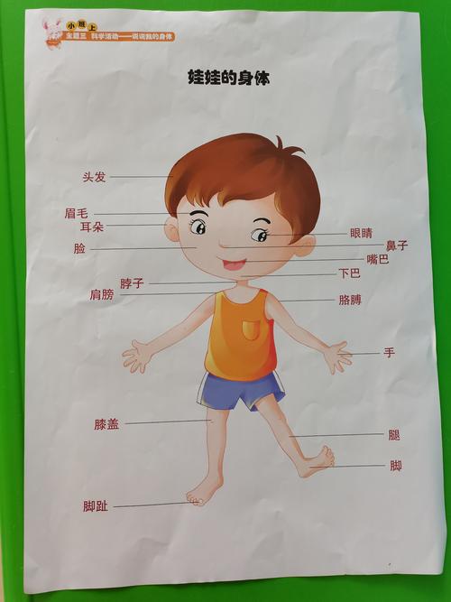 简单认识娃娃的身体各部位的名称,还有数字宝宝1和2,第一次做连线题