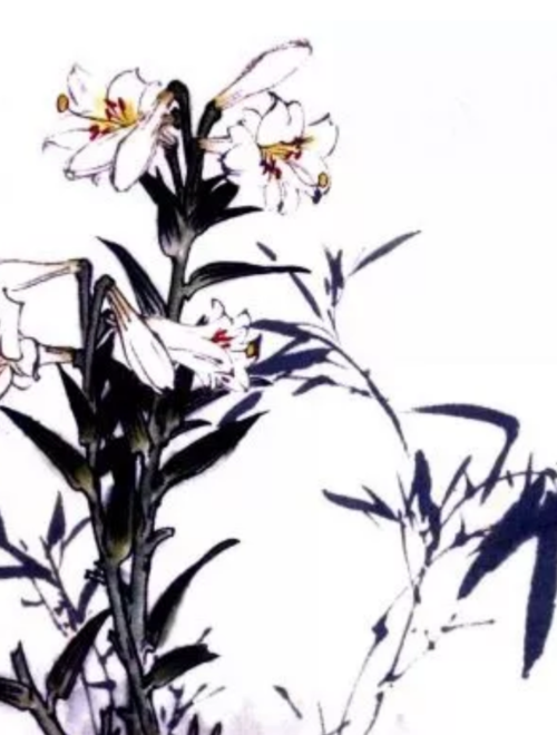 180写意素雅百合花