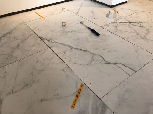 客厅地砖,未勾缝.