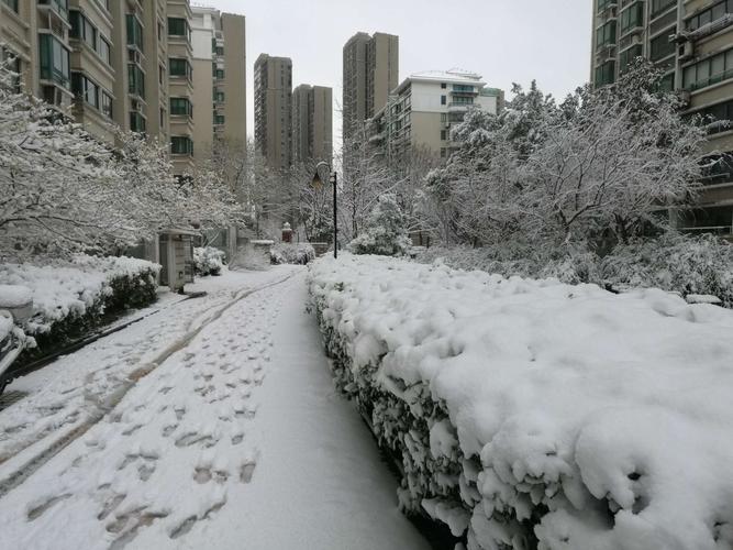 春雪…小区的雪景