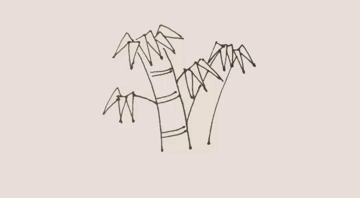 简笔画教程竹子