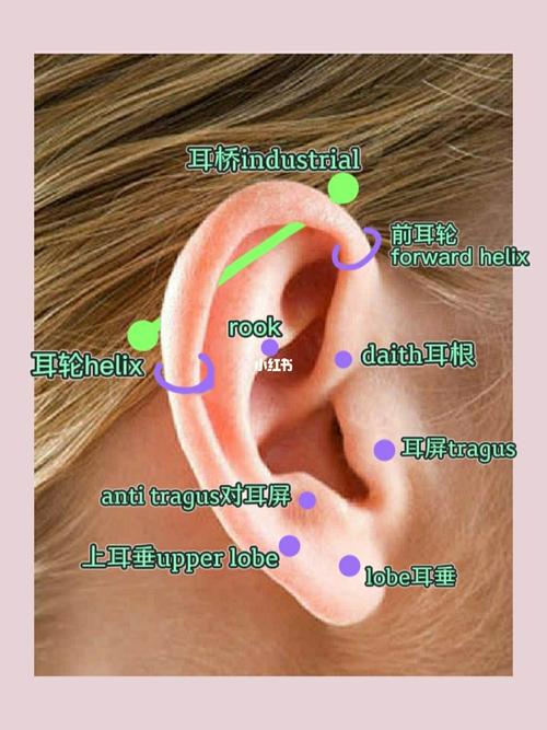 耳洞位置_耳洞_打耳洞_时尚_时尚其他