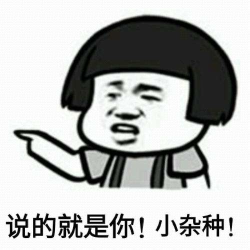 说的就是你,小杂种表情包 - 日常表情包