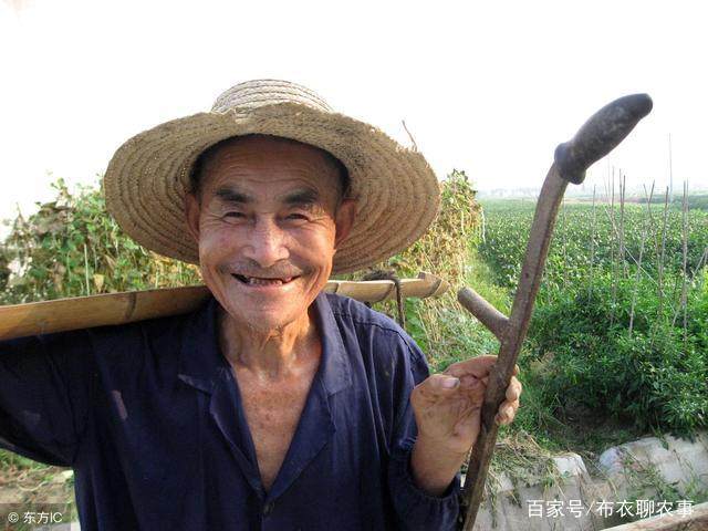 农村老人为何闲不住,真正的原因的让人揪心,尤其是最后一点