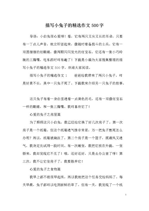 描写小兔子的精选作文500字.docx 7页