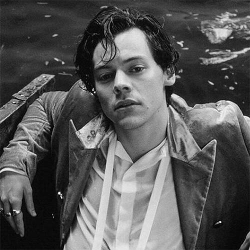 harry styles