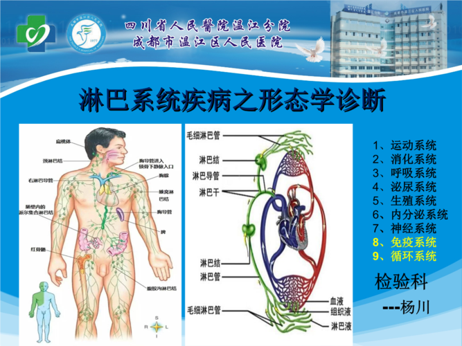 淋巴系统白血病实验室诊断828修改.ppt