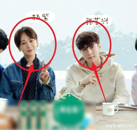 太磕啦!【向往的生活5】张艺兴,杨紫撒同框狗粮