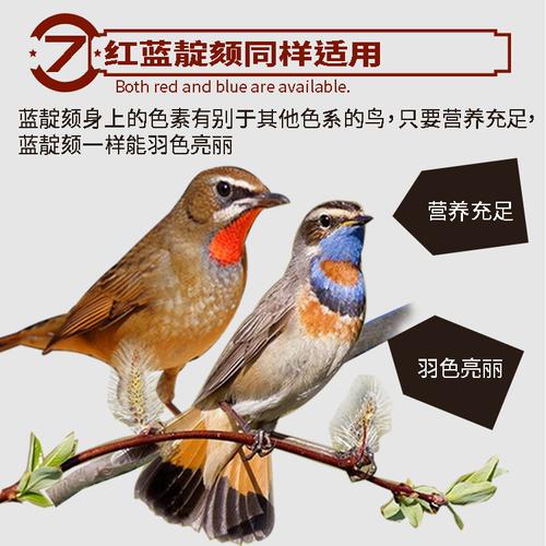台湾合美健靛颏鸟食300克红蓝灯红脖鸟食红点颏红靛颏