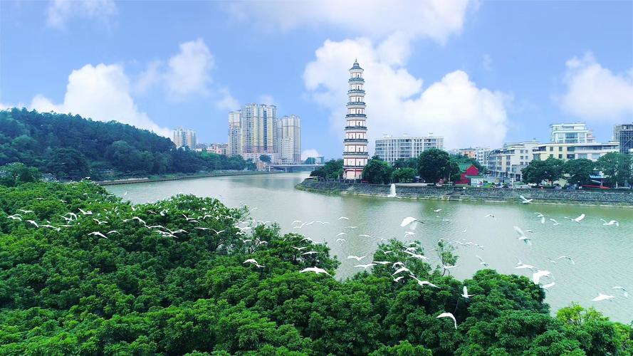 广东高州:"党建 "模式走出幸福小康路