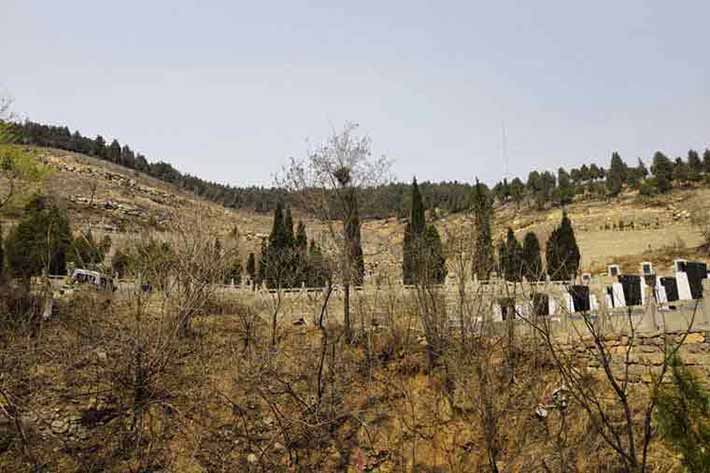 上海的松鹤墓园公墓