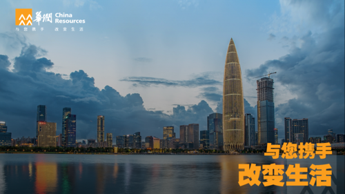 华润集团情况介绍-ppt设计