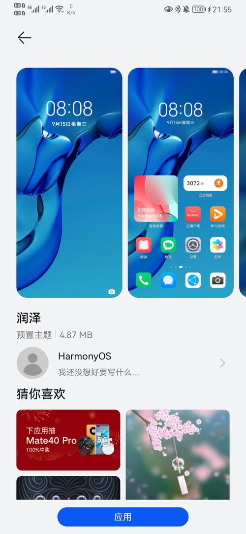 润泽主题一镜到底 - 华为mate30系列分享交流 花粉