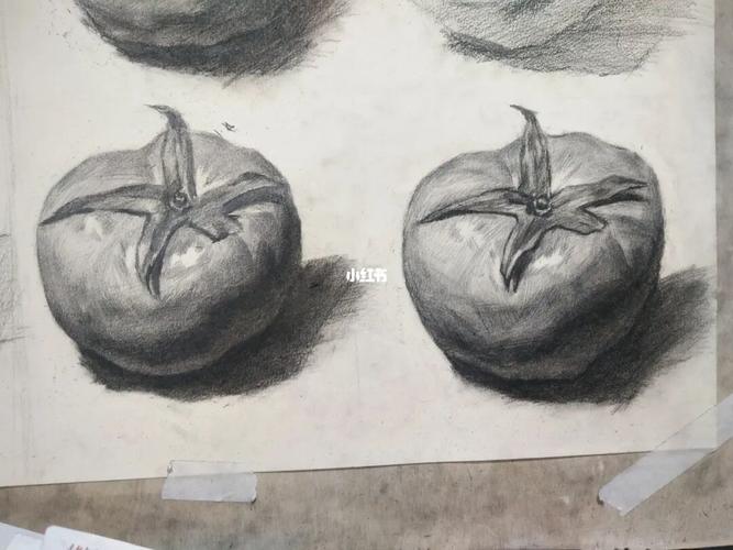 西红柿_西红柿_素描_素描静物_文化_绘画