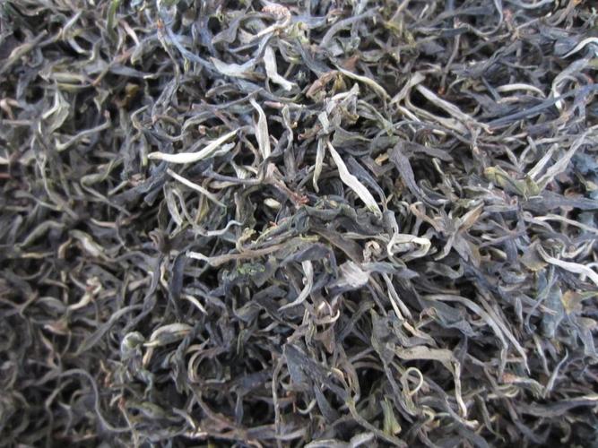 忙肺古树茶