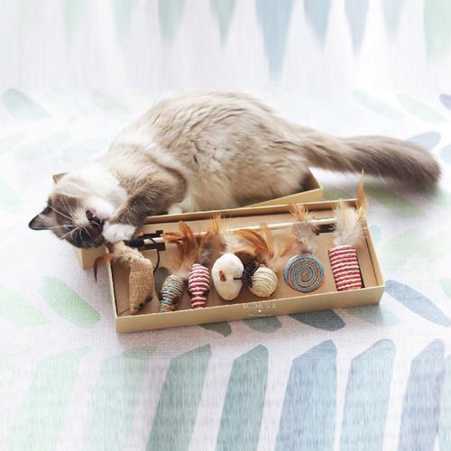 特价猫磨牙玩具